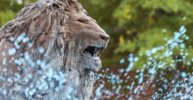 Fountain with lion sculpture